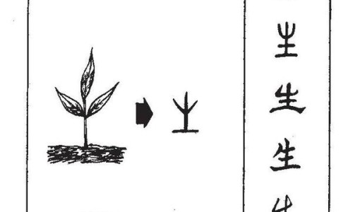 射干的功效作用与禁忌-射干的效与作用及禁忌网—知名的射干的用法用量功效网站,分享射干的作用与功能主治知识