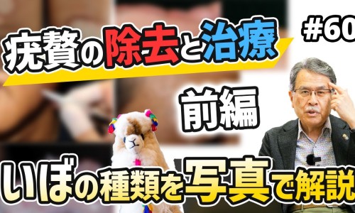 射干的功效与作用与主治用量-射干的效与作用及禁忌网—知名的射干的用法用量功效网站,分享射干的作用与功能主治知识
